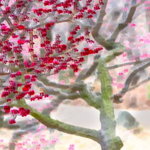 “Plum Blossoms 2” by Clara Young Kim