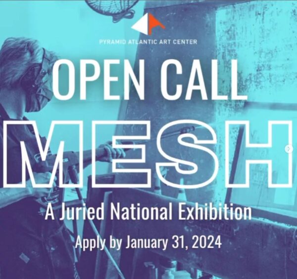 MESH Flyer