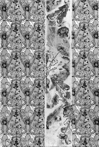 Maggie Gourlay, Pandemic, V.1, photo-transfer and screenprint, Adah Rose Gallery