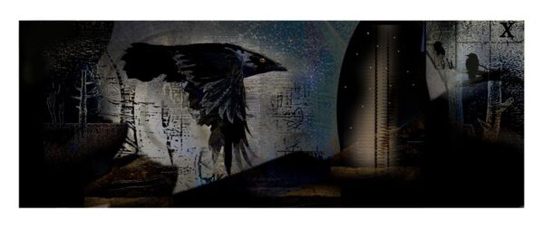 Robert Hunter, Night Flight to the Dream Matrix