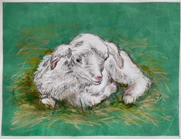 Susan Due Percy, Lamb, drypoint with relief roll, pastel