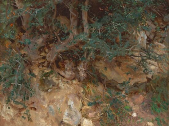 Wild Olive Tree Roots, John Singer Sargent, 1908, Oil on canvas